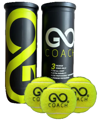 Go Coach